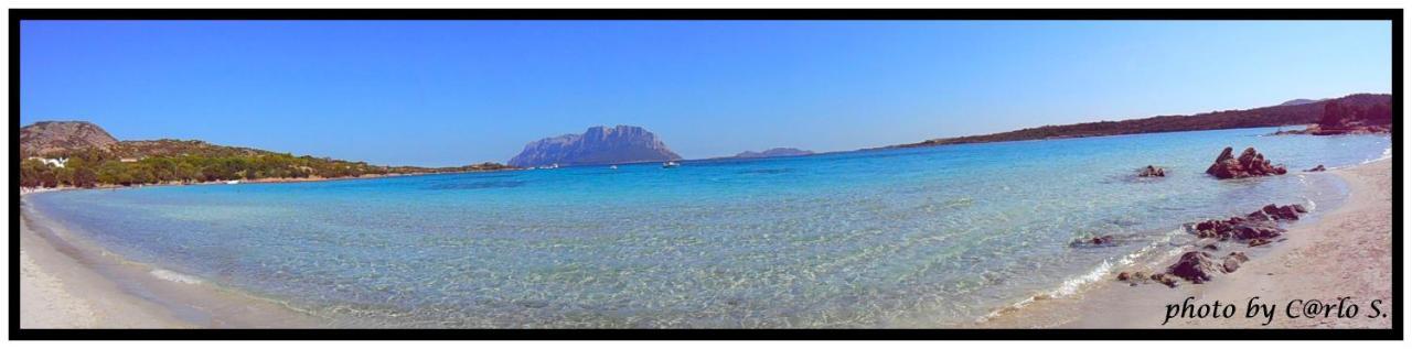 #Garibaldi 05 - Old Town Lejlighed Olbia Eksteriør billede